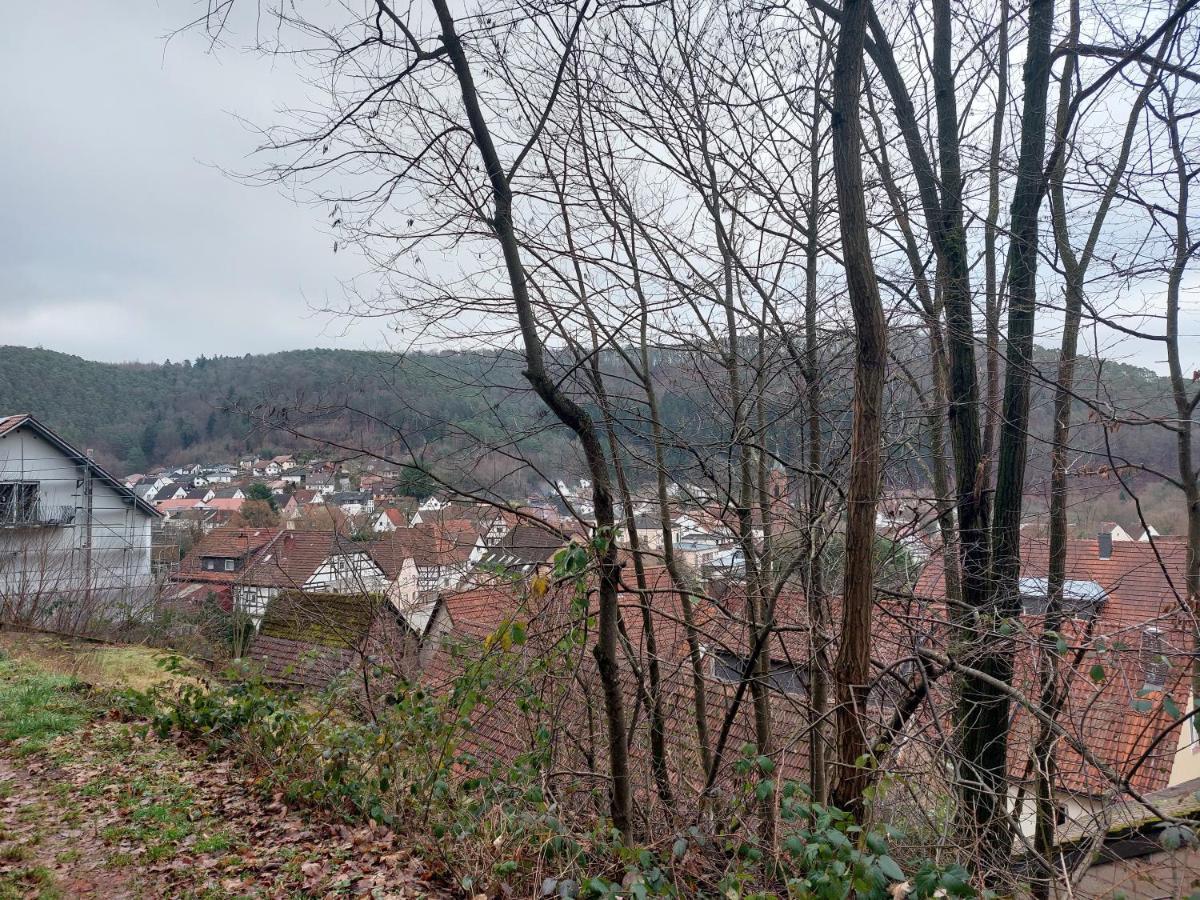 Ferienwohnung Unterm Rappenfels Hinterweidenthal Exterior photo